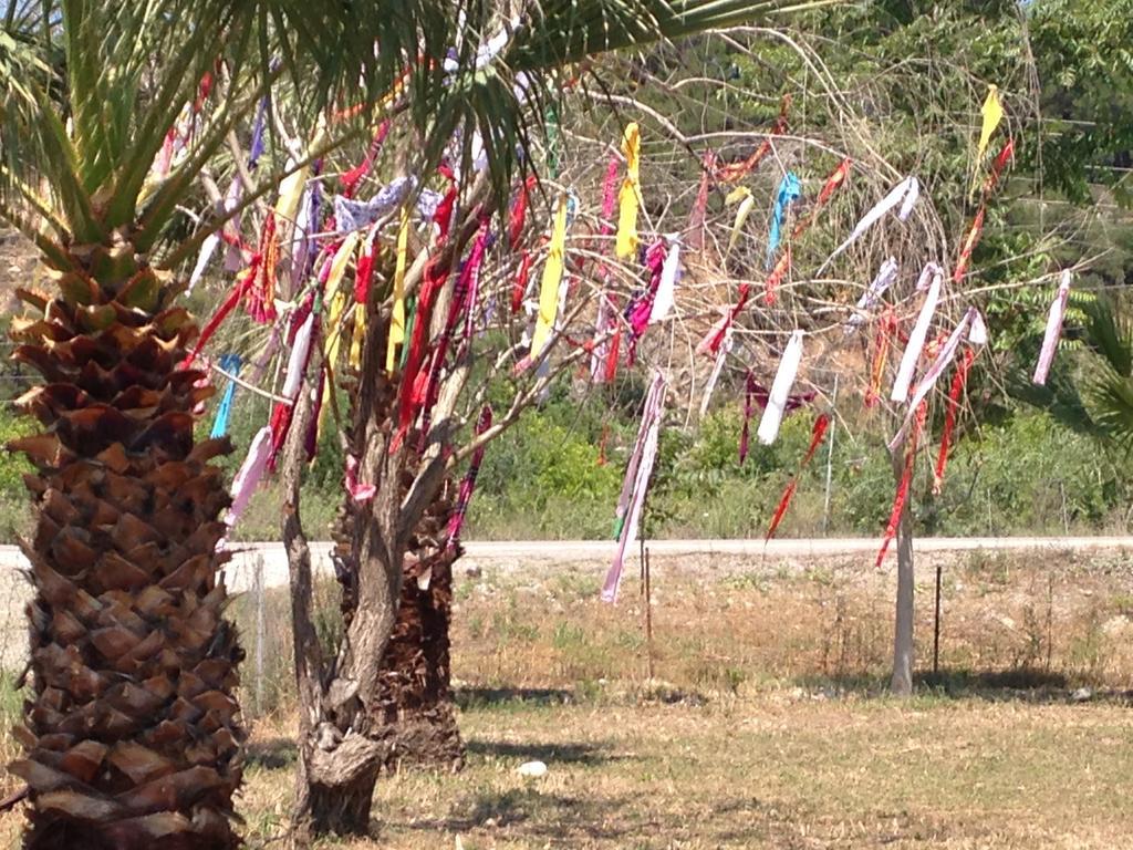 לינה וארוחת בוקר דלמן Otantik Tas Ev מראה חיצוני תמונה